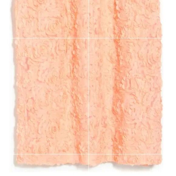 NWT Rachel Roy Textured flourette mesh Tank dress - Picture 6 of 7